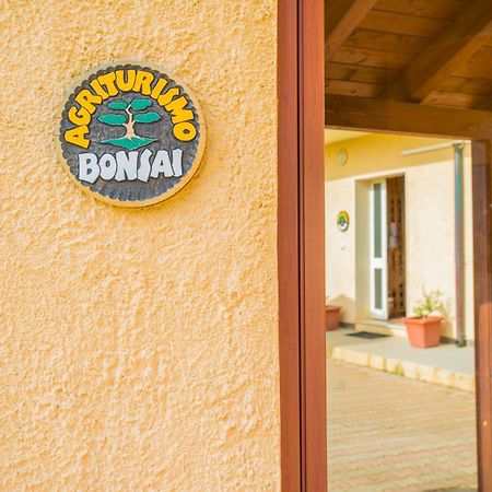 Agriturismo Bonsai Alghero Santa Maria la Palma Exterior foto